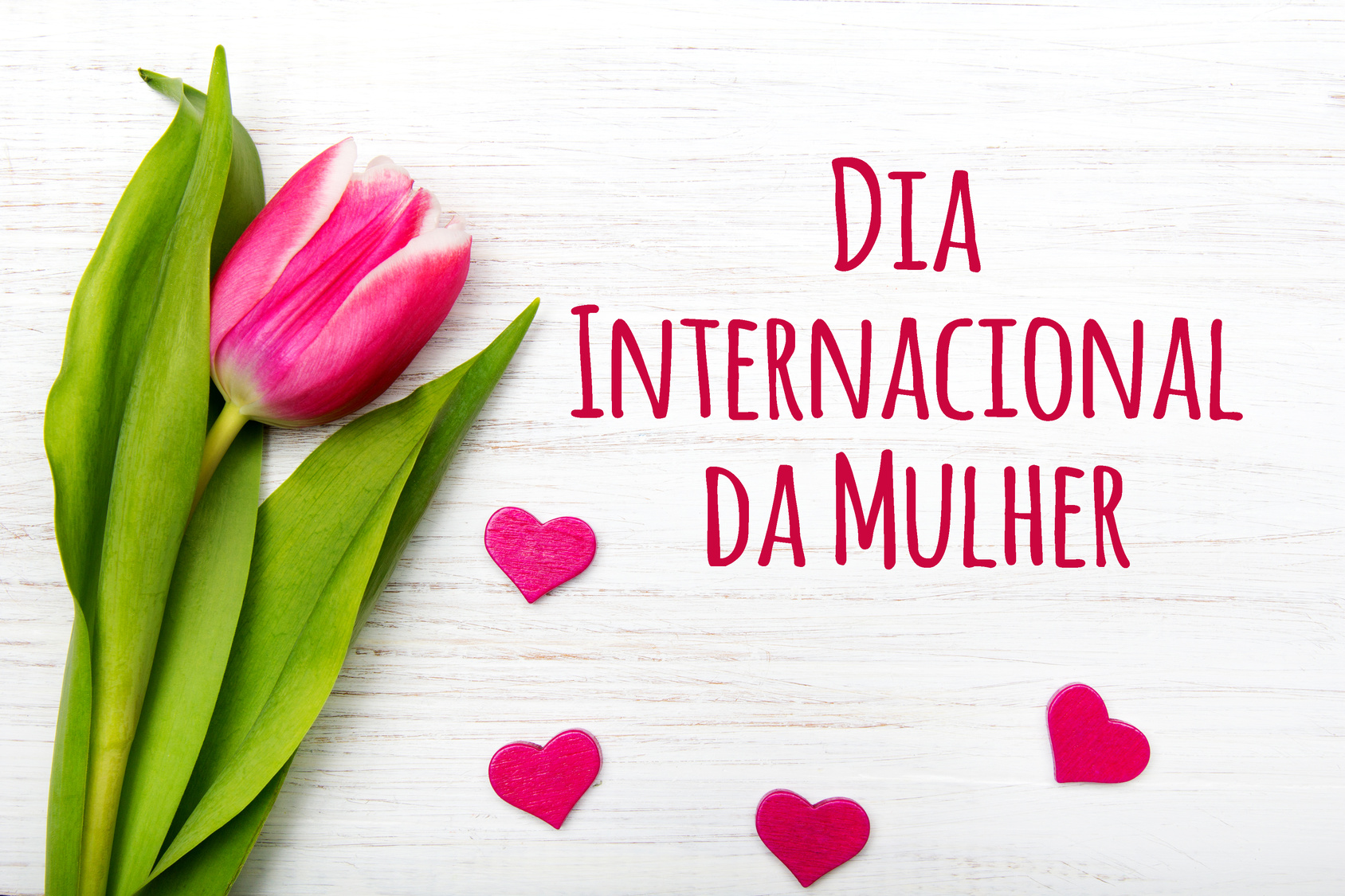 Dia Internacional da Mulher - CALENDÁRIO 2018